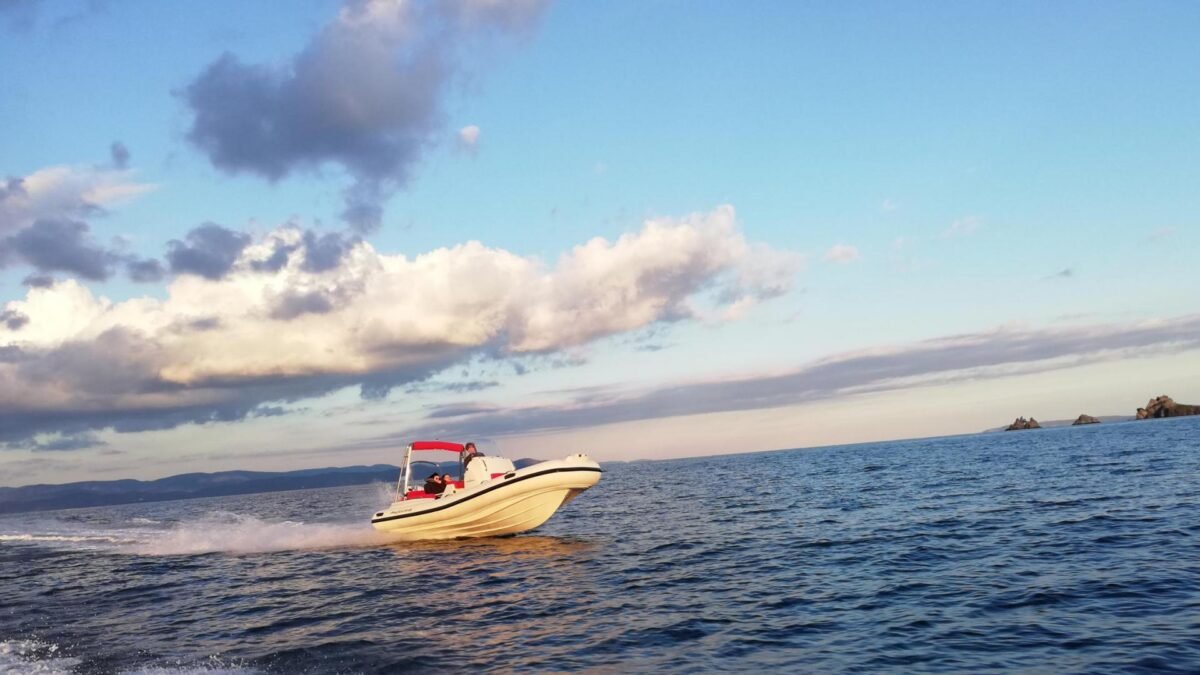 Promarine Helios 23 Promarine Helios 23