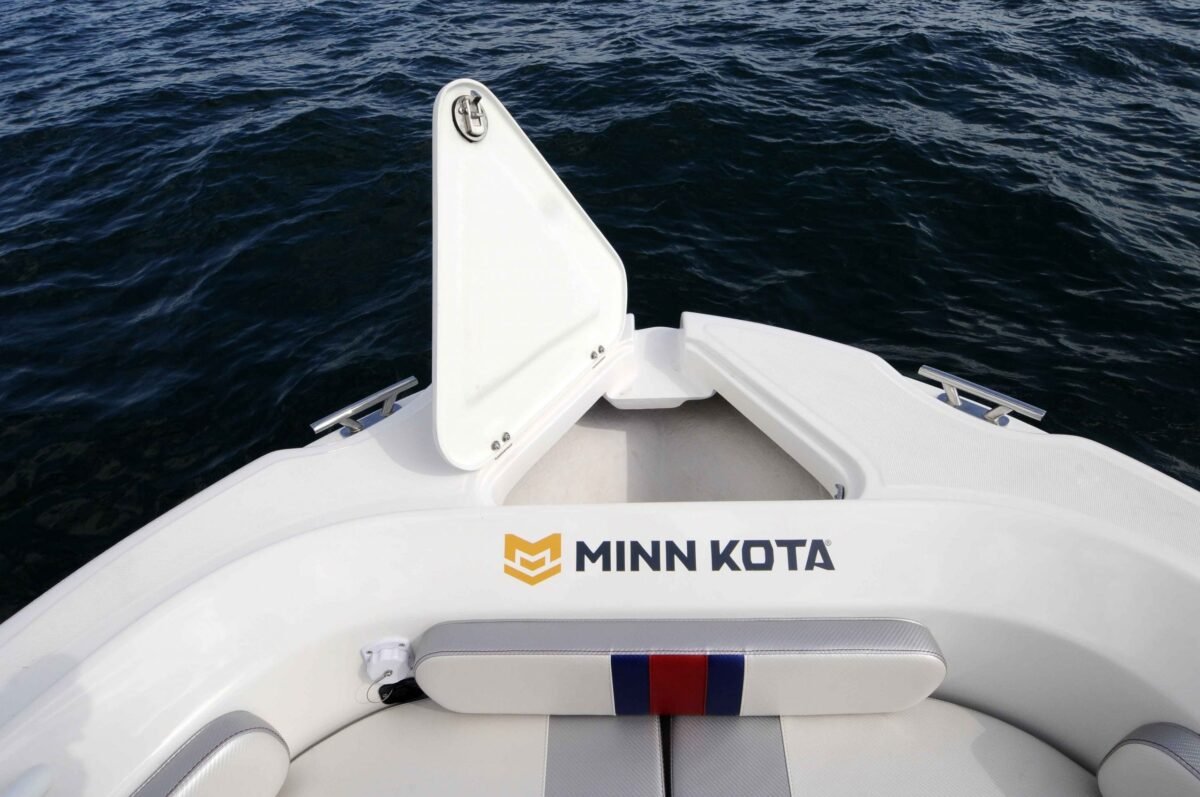 _DSC6416 SEAGAME STARFISH 200