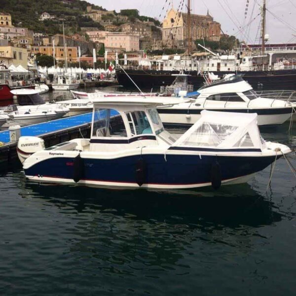 SEAGAME  250 CC – Image 15