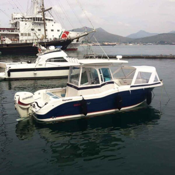 SEAGAME  250 CC – Image 17