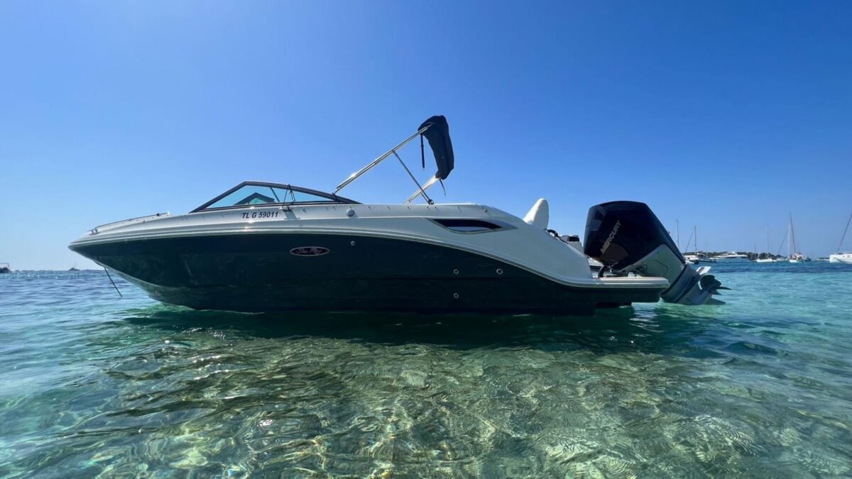 Sea ray 250