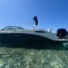 Sea ray 250