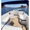 Sea ray 250