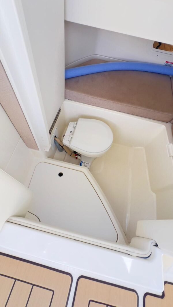 Sea ray 250 – Image 15