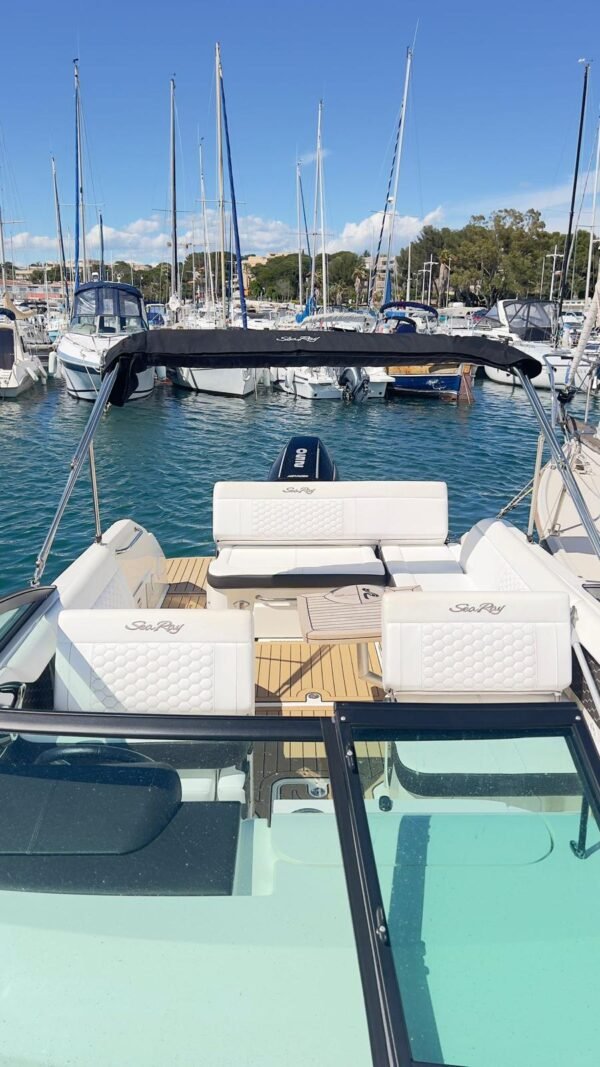 Sea ray 250 – Image 22