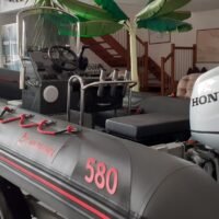 NARWHAL HD 580 / HONDA BF 100cv / REMORQUE / GPS 