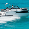 NAUTIC YACHT 990 OPEN