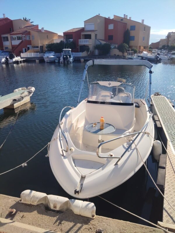 Quicksilver Commander 555 Année 2005 – Image 5