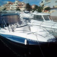 Quicksilver Commander 555 Année 2005