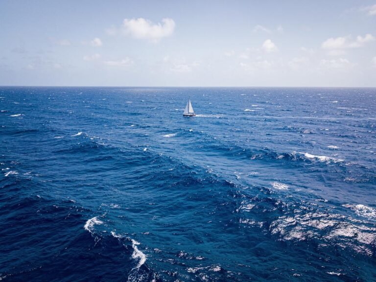 accord bbnj haute mer en vigueur depuis janvier 2026 ce que ca change pour les plaisanciers au long cours