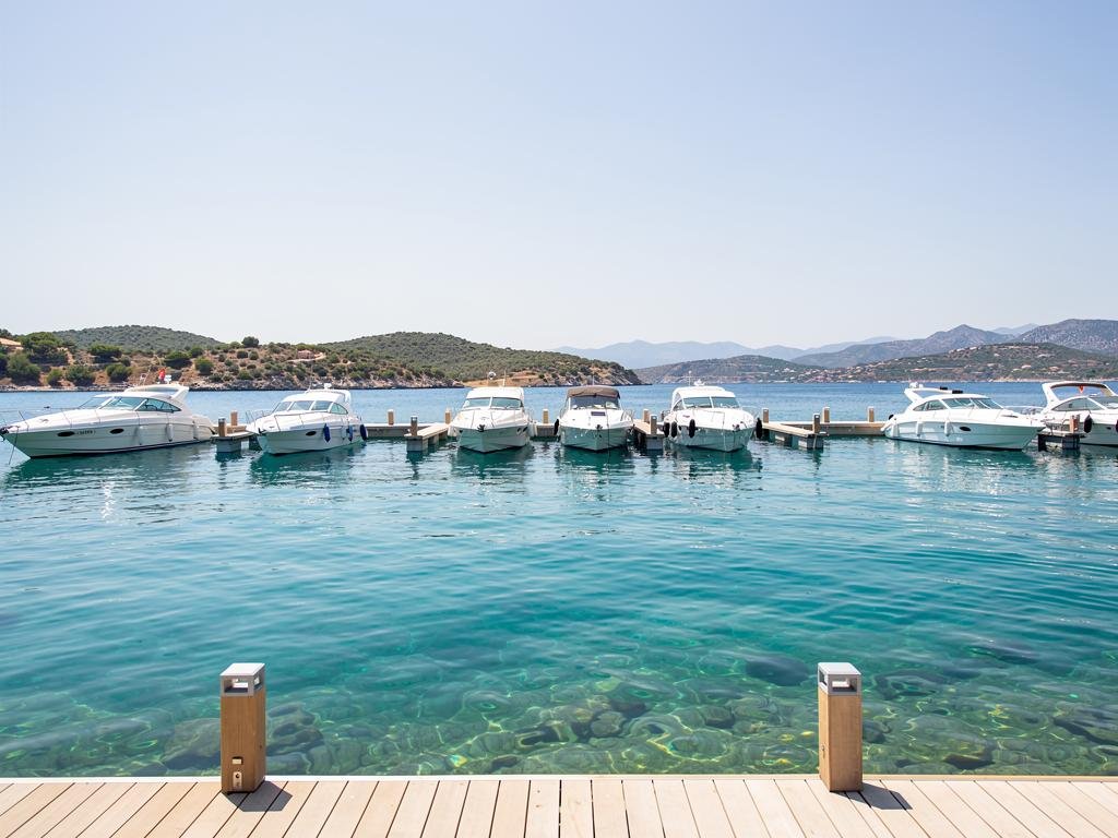 axopar 38 prix 2026 accord exclusif mercury destockage et alternatives saxdor