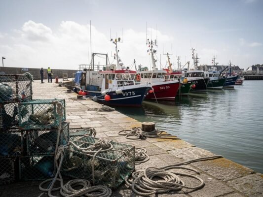 crise gazole marin 2026 pecheurs a quai loueurs en peril marche du bateau bouleverse