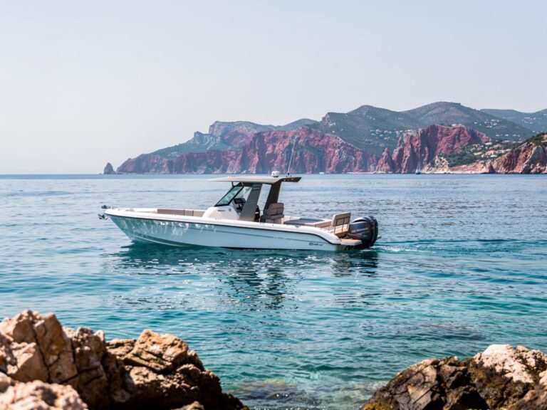 le meilleur bateau rigide de 8 metres comparatif et guide 2026