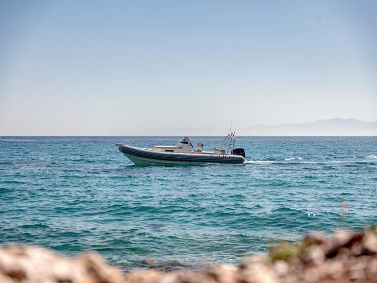 meilleurs semi rigides de 8 metres en 2026 comparatif complet bwa capelli joker boat zodiac et nuova jolly