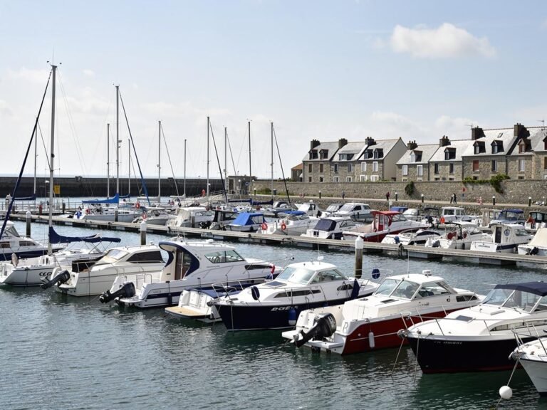 quel est le bateau doccasion le plus vendu en france classement et guide 2026