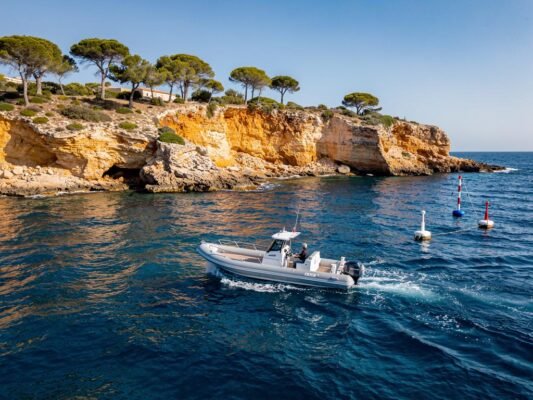 porquerolles et port cros zones de navigation interdites jusquau 1er juin 2026 pour proteger le cormoran de desmarest