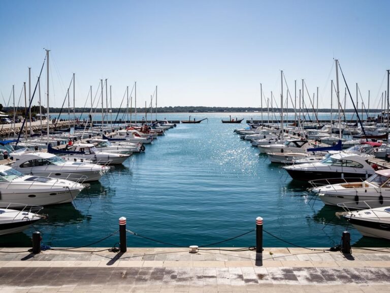 salon nautique darcachon 2026 480 bateaux programme gratuit et guide du bassin