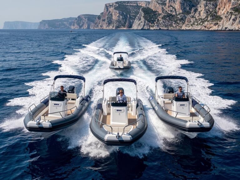 semi rigides bwa analyse commerciale du marche francais en 2026