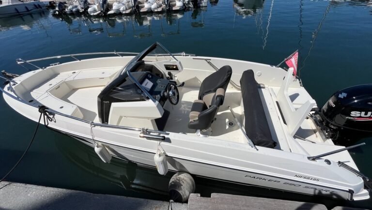 Parker 690 Sport vue aérienne du cockpit et de la console de pilotage