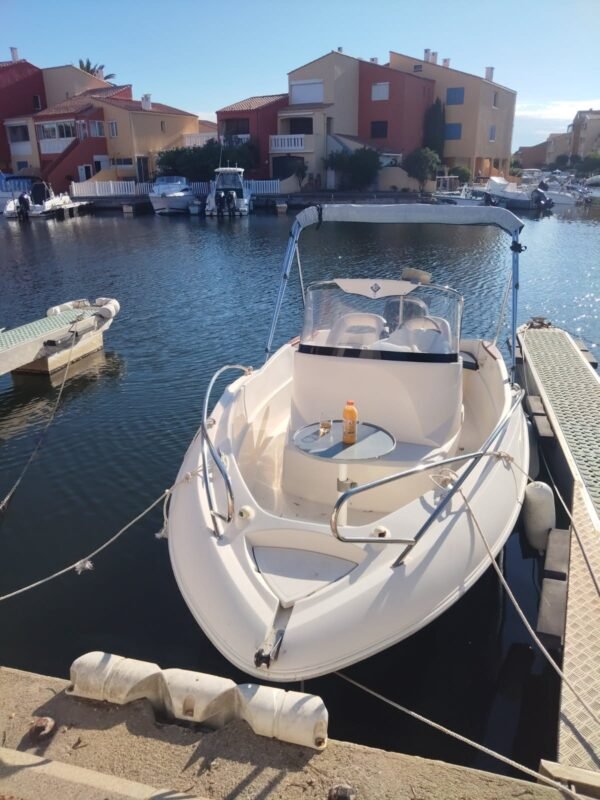 Quicksilver Commander 555 2005 occasion, photo 5