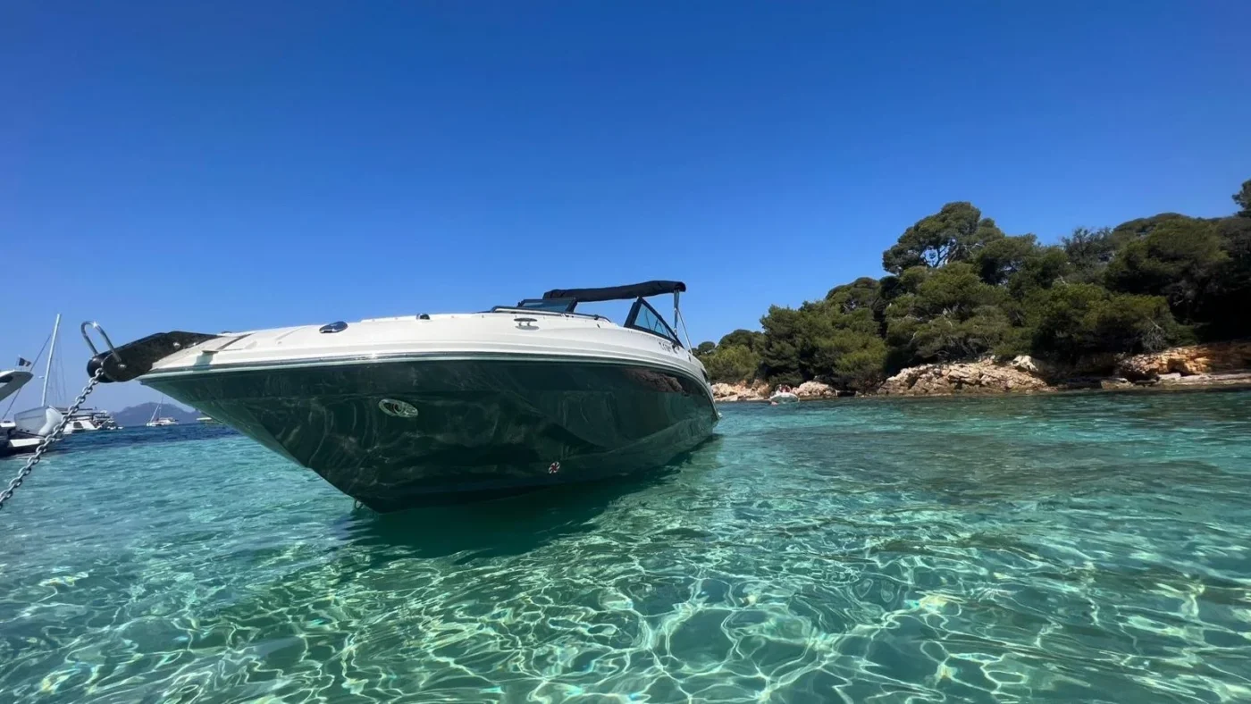 Sea Ray SDX 250 OB 2023 vue avant sur eau claire