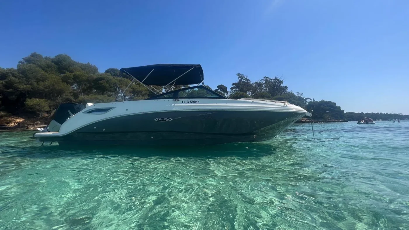 Sea Ray SDX 250 OB 2023 vue d ensemble bimini