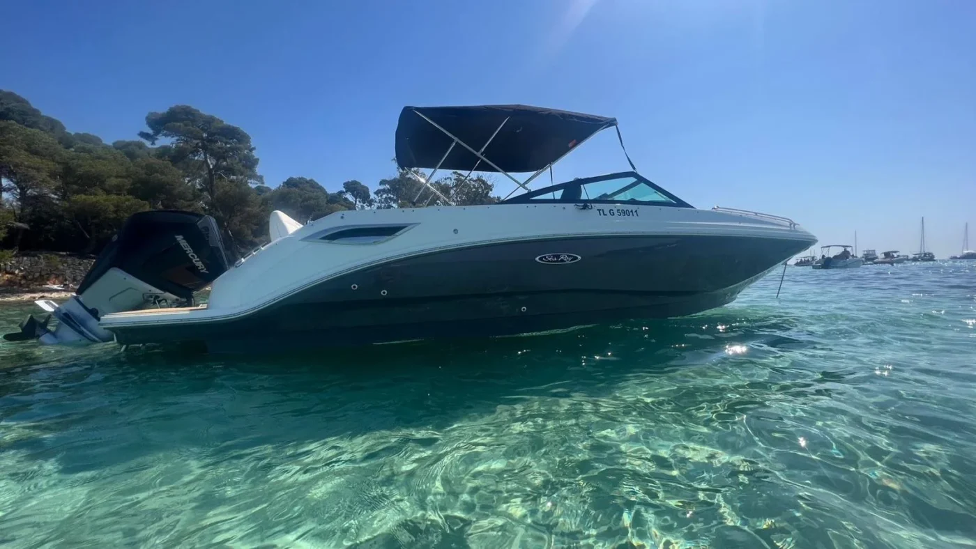 Sea Ray SDX 250 OB 2023 flanc et francs-bords