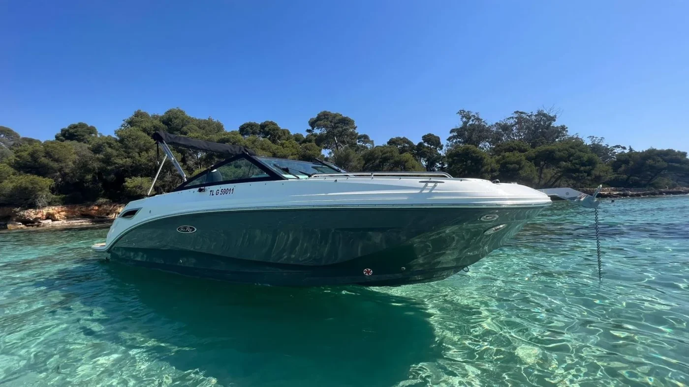 Sea Ray SDX 250 OB 2023 ligne de coque babord