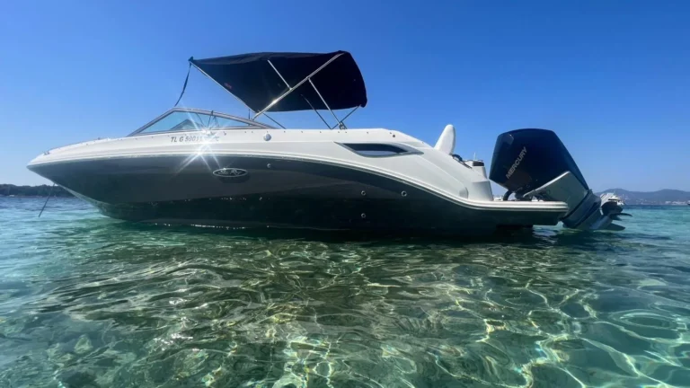 Sea Ray SDX 250 OB