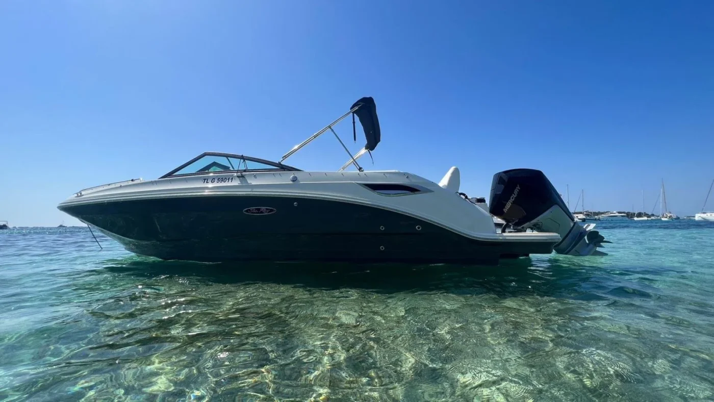 Sea Ray SDX 250 OB 2023 profil tribord avec moteur hors-bord