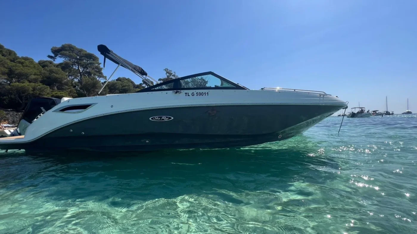 Sea Ray SDX 250 OB 2023 silhouette bimini deploye