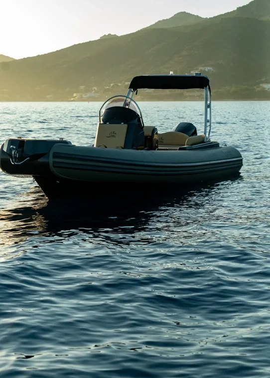 Fanale Marine Falchettu 700 cockpit et console